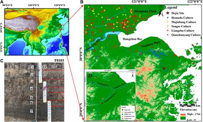 Paleoenvironmental Evolution and Human Activities at the Hejia Site on the Ningshao Coastal Plain in Eastern China